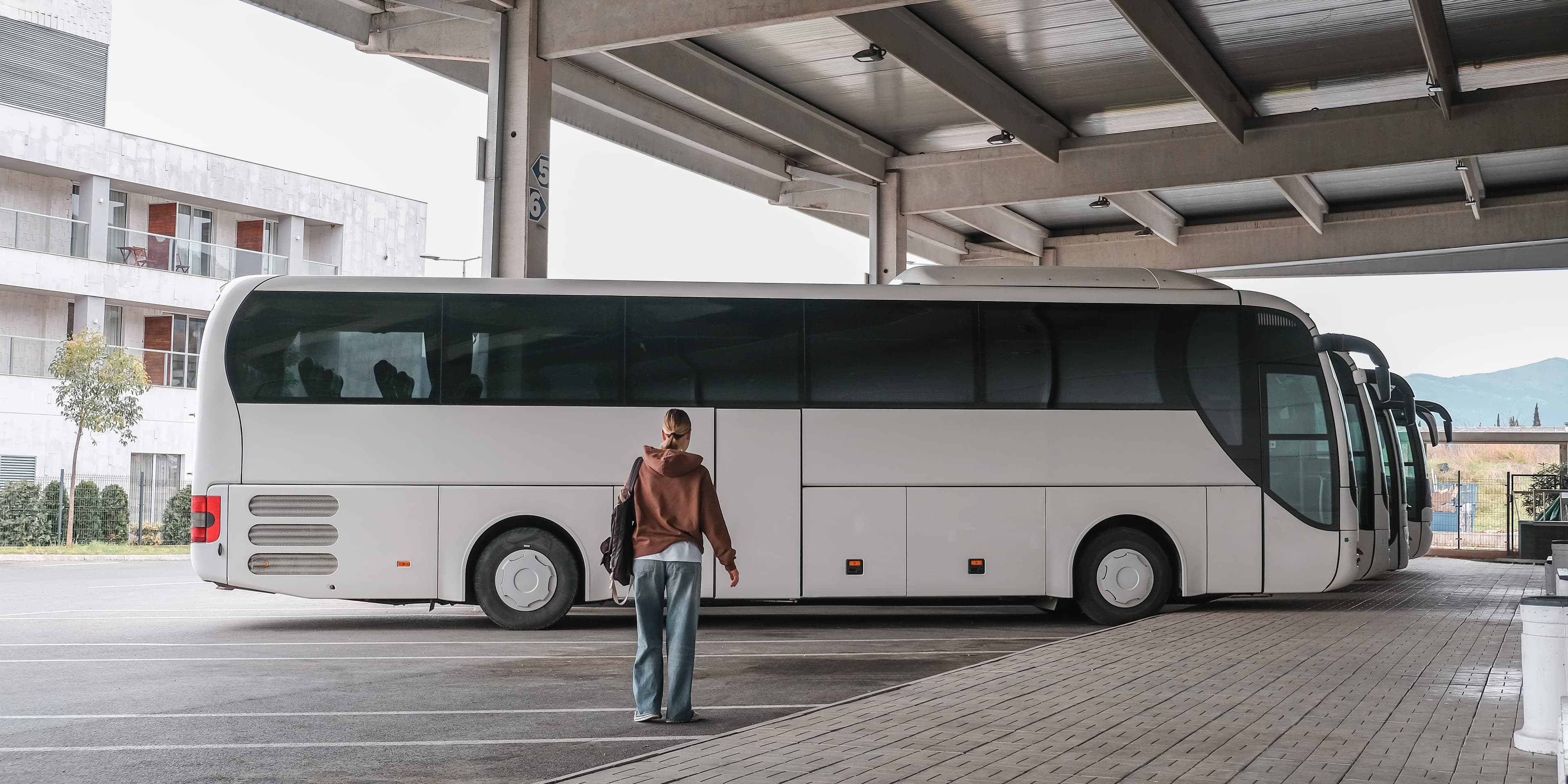 Charter bus rental Phoenix — Nier Transportation Charter bus rental Phoenix — Nier Transportation