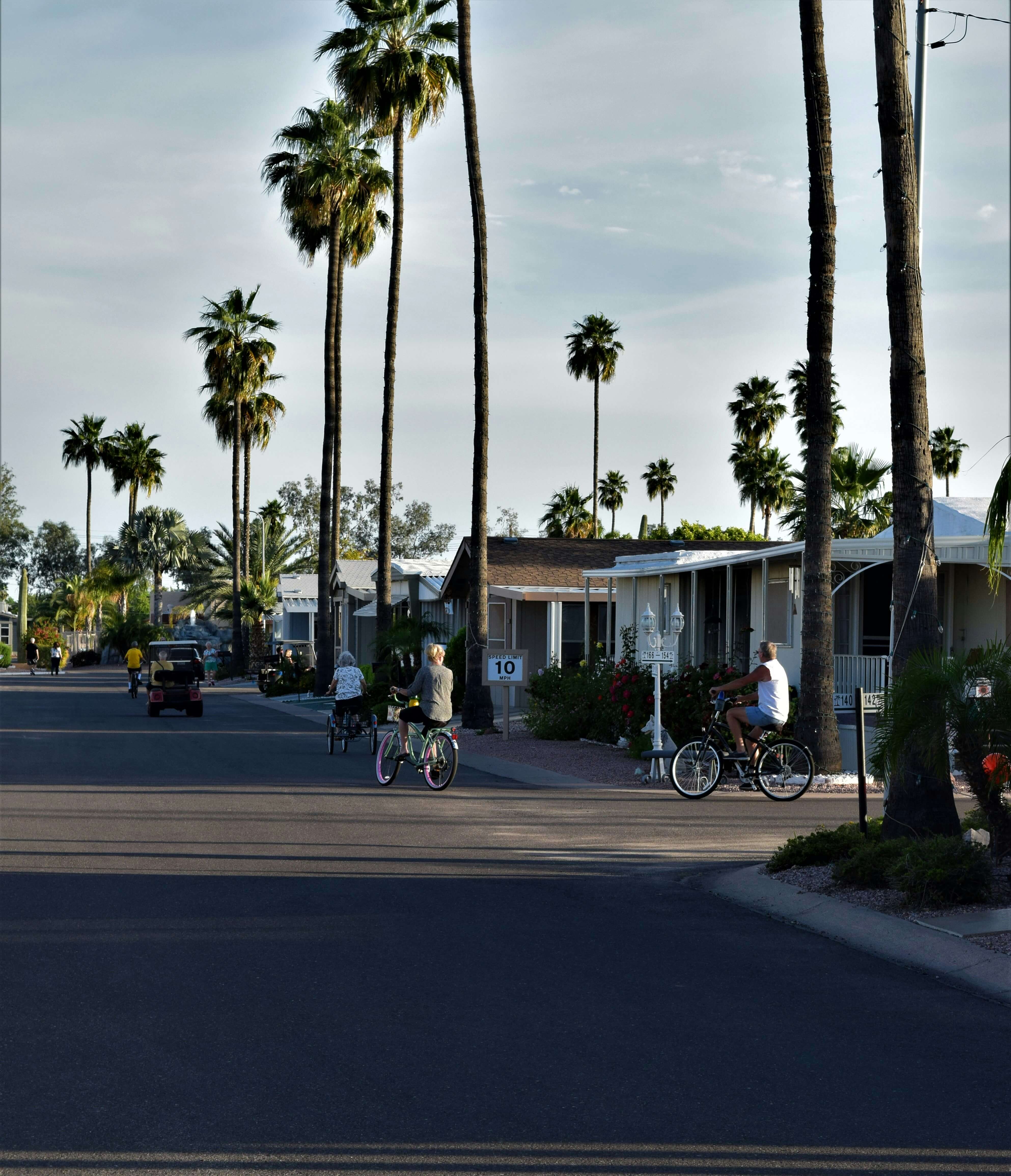 Mesa Mesa