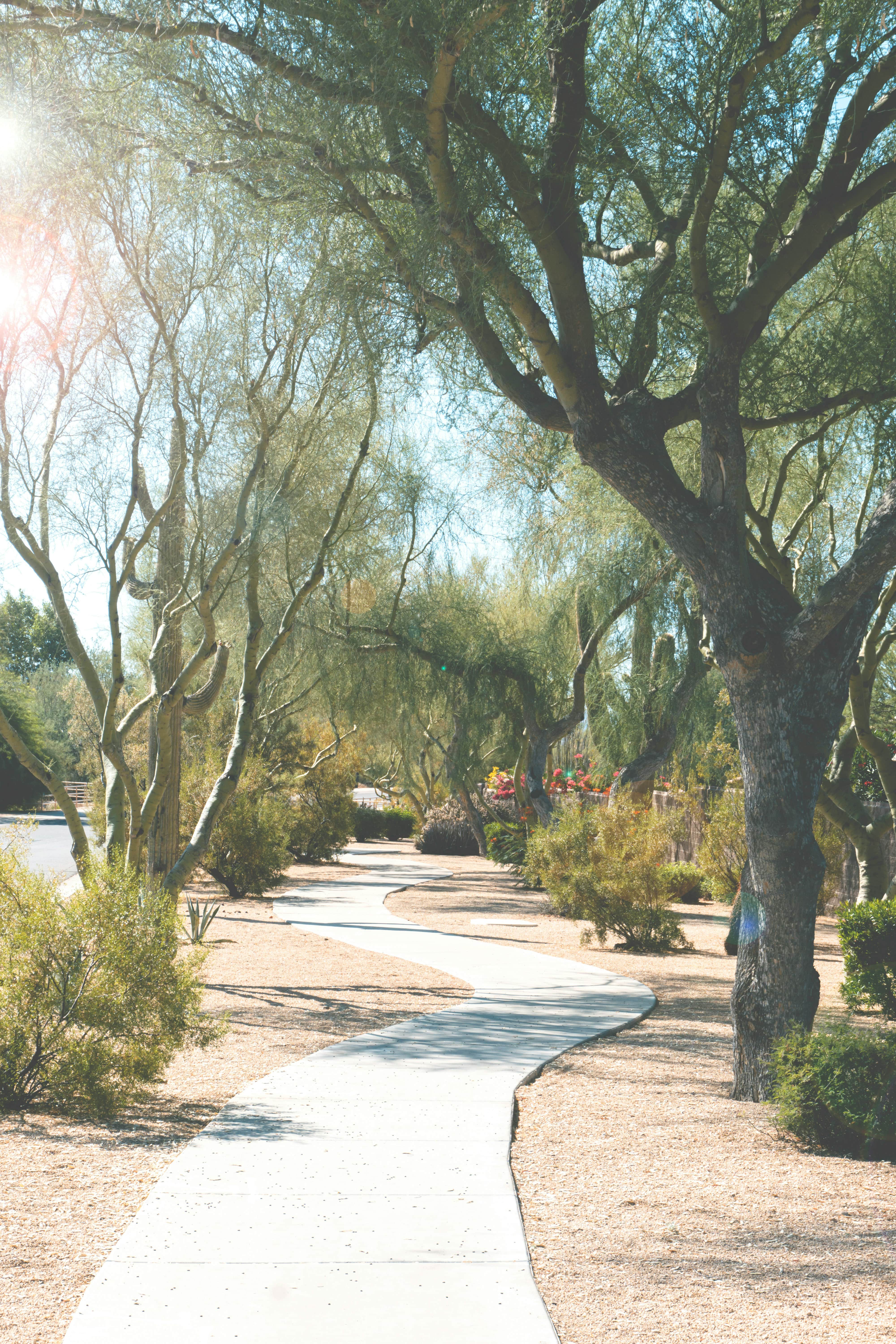 Scottsdale Scottsdale