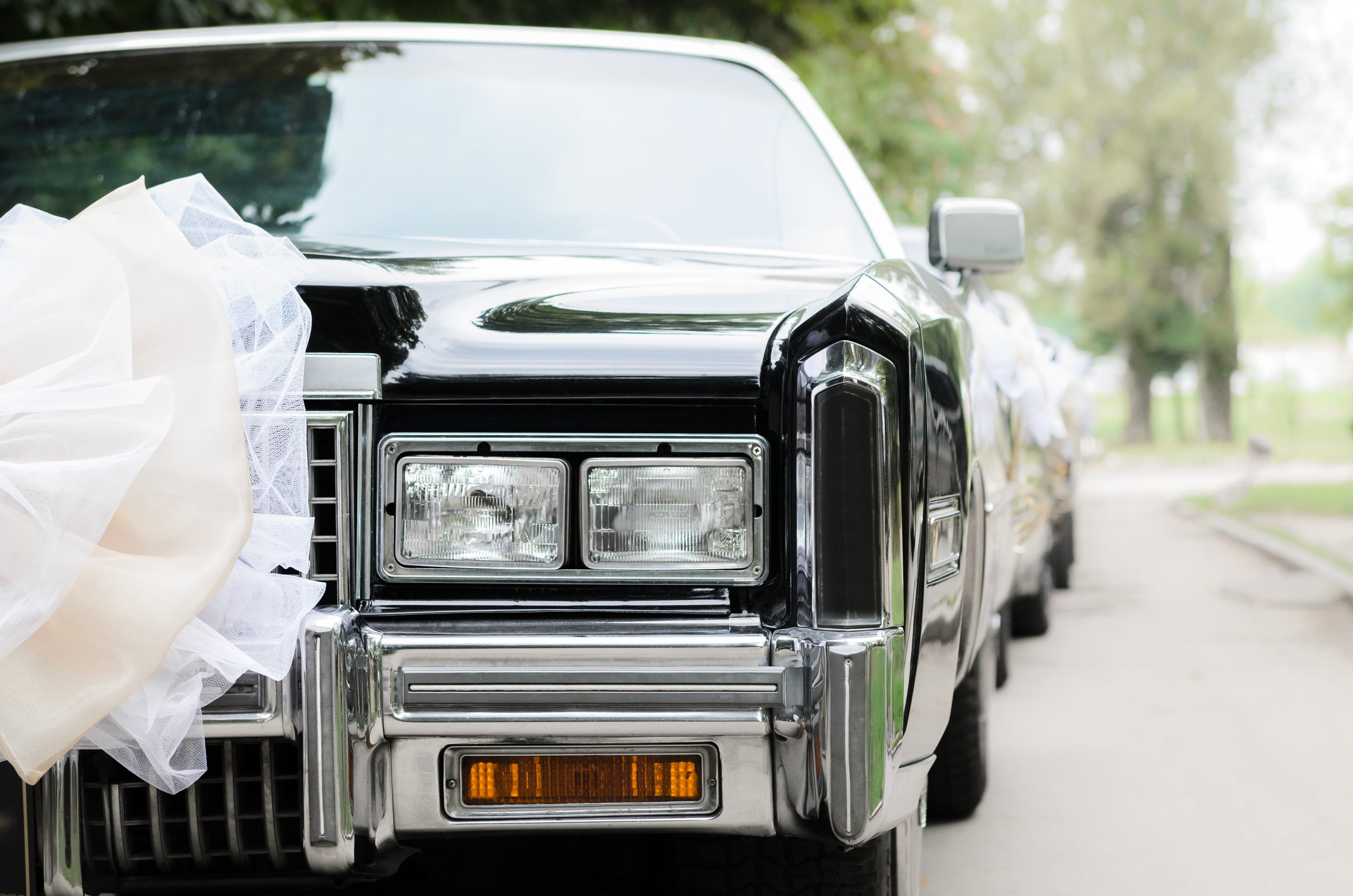 Wedding party raising champagne glasses inside a limousine Wedding party raising champagne glasses inside a limousine